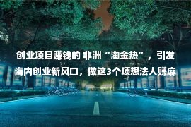 创业项目赚钱的 非洲“淘金热”，引发海内创业新风口，做这3个项想法人赚麻了！