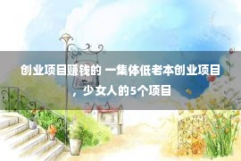 创业项目赚钱的 一集体低老本创业项目，少女人的5个项目