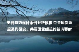 电商趋势设计案例分析模板 中金国货崛起系列研究：共赢国货崛起的新消费时代