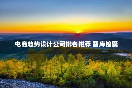 电商趋势设计公司排名推荐 智库锦囊