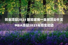 创业项目2023 新加坡唯一全球顶尖中文MBA项目2023年招生启动