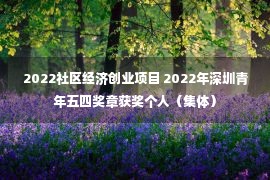 2022社区经济创业项目 2022年深圳青年五四奖章获奖个人（集体）