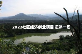 2022社区经济创业项目 忽然一周