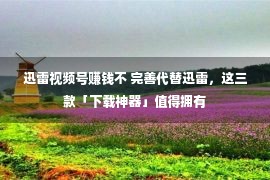 迅雷视频号赚钱不 完善代替迅雷，这三款「下载神器」值得拥有