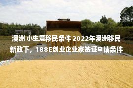 澳洲 小生意移民条件 2022年澳洲移民新政下，188E创业企业家签证申请条件及转永居要求