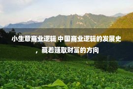 小生意商业逻辑 中国商业逻辑的发展史，藏着赚取财富的方向