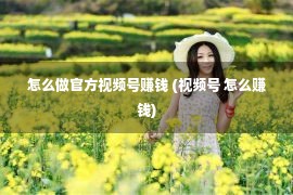 怎么做官方视频号赚钱 (视频号 怎么赚钱)