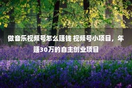 做音乐视频号怎么赚钱 视频号小项目，年赚30万的自主创业项目