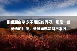 张韶涵自学 永不屈服的阿刁，那是一首灵活的礼赞，张韶涵就是阿刁本刁