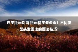 自学绘画刘海 绘画初学者必看！不同发型头发画法的画法技巧！