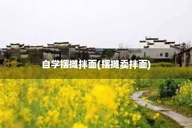 自学摆摊拌面(摆摊卖拌面)