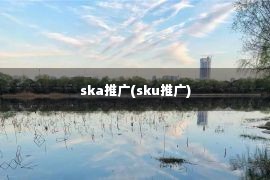 ska推广(sku推广)