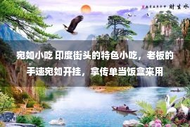 宛如小吃 印度街头的特色小吃，老板的手速宛如开挂，拿传单当饭盒来用