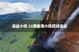 连战小吃 22道秦淮小吃招待连战