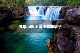 油车小吃 上海小吃油墩子