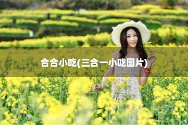 合合小吃(三合一小吃图片)