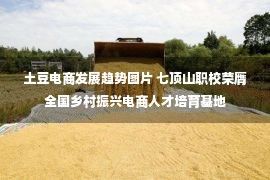 土豆电商发展趋势图片 七顶山职校荣膺全国乡村振兴电商人才培育基地