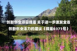 创新创业项目提案 关于进一步激发全省创新创业活力的建议（提案0371号）