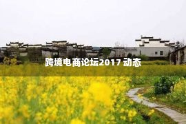 跨境电商论坛2017 动态