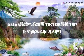 tiktok跨境电商加盟 TIKTOK跨境TSP服务商怎么申请入驻？