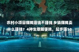 农村小项目摆摊赚钱不赚钱 乡镇摆摊卖什么赚钱？4种生意随便挑，起步赚500