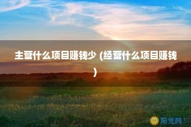 主营什么项目赚钱少 (经营什么项目赚钱)