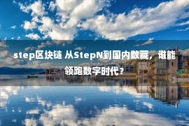 step区块链 从StepN到国内数藏，谁能领跑数字时代？