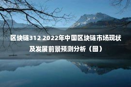 区块链312 2022年中国区块链市场现状及发展前景预测分析（图）