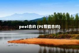 peel合约 (PE智能合约)