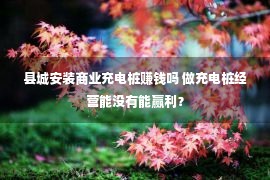 县城安装商业充电桩赚钱吗 做充电桩经营能没有能赢利？