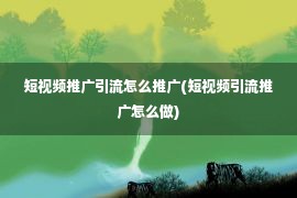 短视频推广引流怎么推广(短视频引流推广怎么做)