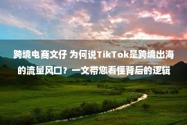 跨境电商文仔 为何说TikTok是跨境出海的流量风口？一文带您看懂背后的逻辑