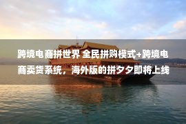 跨境电商拼世界 全民拼购模式+跨境电商卖货系统，海外版的拼夕夕即将上线？