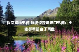 程文跨境电商 蚁城谈跨境进口电商：不能等看明白了再做