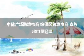 中储广场跨境电商 综保区跨境电商 直购出口量猛增