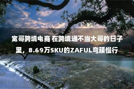 宽哥跨境电商 在跨境通不当大哥的日子里，8.69万SKU的ZAFUL弯腰慢行