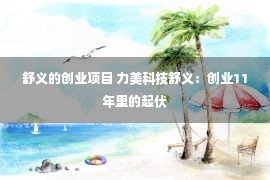 舒义的创业项目 力美科技舒义：创业11年里的起伏