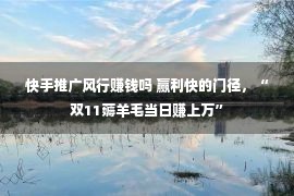 快手推广风行赚钱吗 赢利快的门径，“双11薅羊毛当日赚上万”