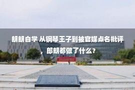 朗朗自学 从钢琴王子到被官媒点名批评，郎朗都做了什么？