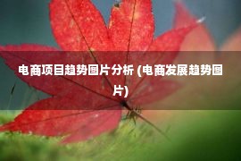 电商项目趋势图片分析 (电商发展趋势图片)