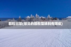 颗粒日常(常见的颗粒型填料有哪些)