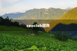 ceoclub团购 