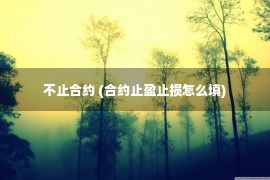 不止合约 (合约止盈止损怎么填)