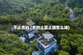 不止合约 (合约止盈止损怎么填)