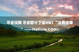 币安没网 币安部分下架HNT“没有依据”——Helium COO​