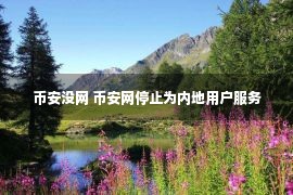 币安没网 币安网停止为内地用户服务