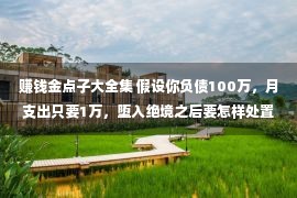 赚钱金点子大全集 假设你负债100万，月支出只要1万，堕入绝境之后要怎样处置？