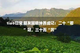 tiao日常 朋友圈精绅养成记：二十“若”冠，三十而“厉”