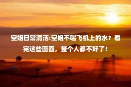 空姐日常清洁:空姐不喝飞机上的水？看完这些画面，整个人都不好了！