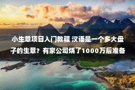 小生意项目入门教程 汉语是一个多大盘子的生意？有家公司烧了1000万后准备捞金！